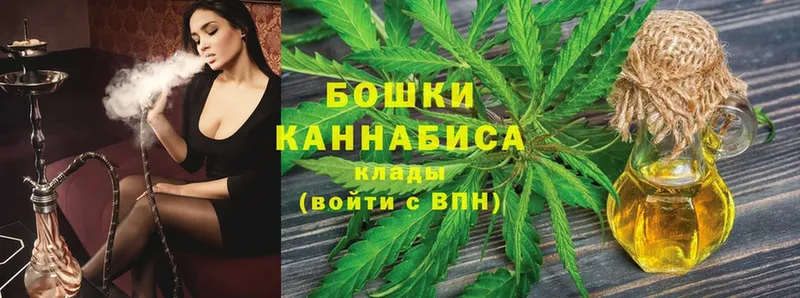 купить наркотик  Качканар  Шишки марихуана OG Kush 